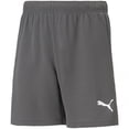 thumbnail image 1 of Puma Shorts à Taille Équilibrée pour Garçons/filles, 1 of 2