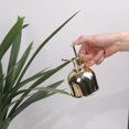 thumbnail image 3 of Señor de plantas de interior, rociador de orquídeas, señor suculento, señor de botella de spray de níquel, señor pulverizador de plantas: un hermoso y útil accesorio para plantas de interio, 3 of 5