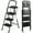 3 Steps-Black, variant on WoofPaw 3 Step Folding Ladder with Tool Tray - Carbon Steel, Space-Saving Design, Non-Slip PVC Feet & PP Platform, Ideal for Home/Office/Outdoor Use,Black