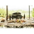 thumbnail image 6 of Napoleon TravelQ PRO285-BK Portable Propane Gas Grill, Black, 6 of 9