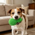 thumbnail image 7 of Cinvoph 2 Pack Dog Chew Toys, Hedgehog Latex Squeaky Ball, Durable Bite Resistant Puppy Teething Toys, Dental Cleaning Boredom Relief 2.5"x4", 7 of 7