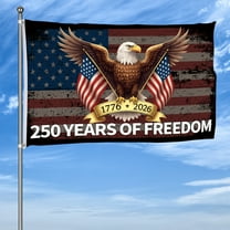YIBAGA 250 Anniversary Flag 3x5 Ft America National Flag Eagle 250 Years of Freedom 1776-2026 Patriotic Outdoor Lawn Garden Decor with Brass Grommets