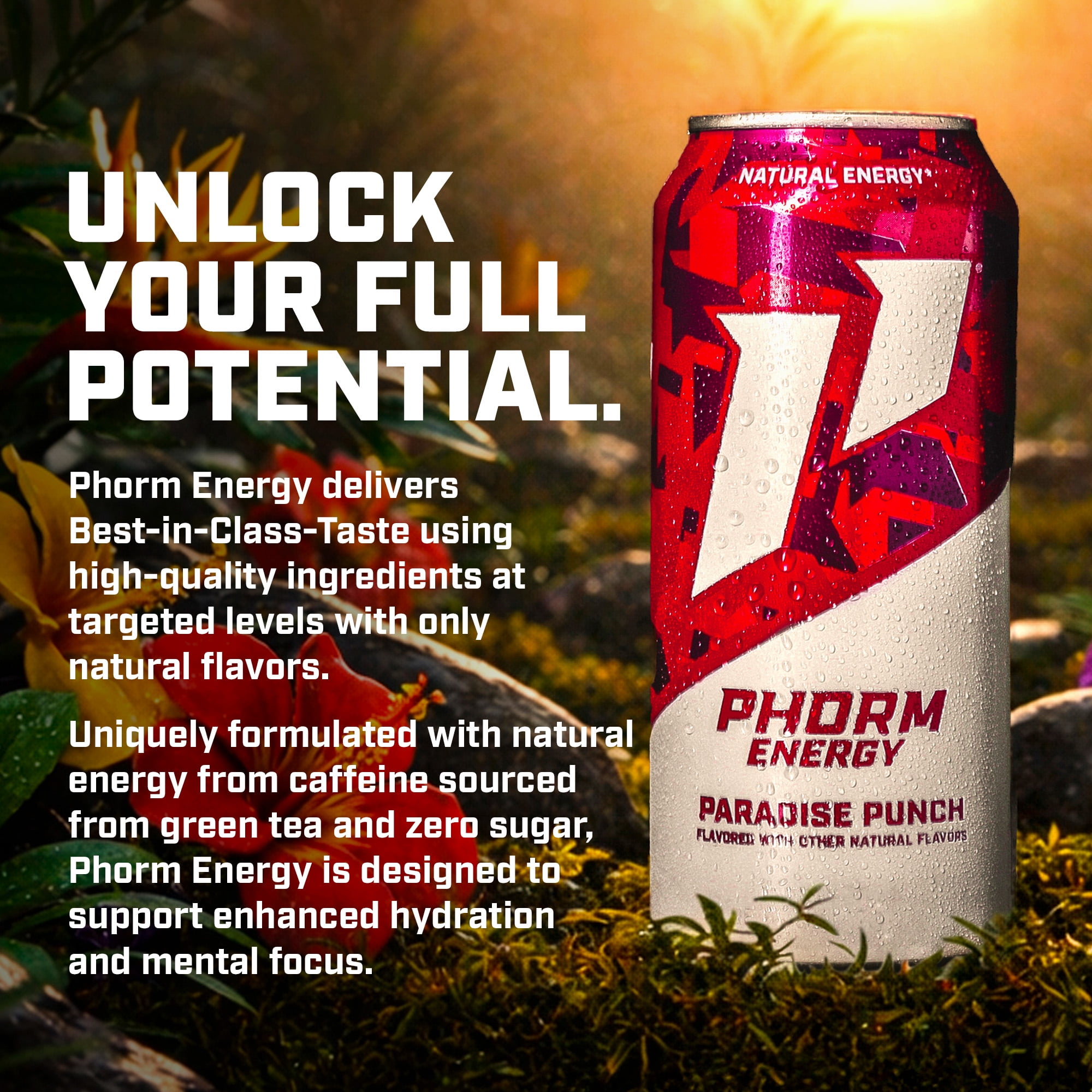 Phorm Sugar Free Energy Drink, Paradise Punch Flavor, 16 fl oz Cans, 12 Pack, 200 MG Natural Caffeine