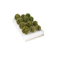 thumbnail image 4 of 12PCS Simulation Bush Trees Scenery Architecture Trees Model DIY Model Railroad Scenery with Model Bases, 4 of 7