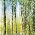 thumbnail image 2 of Hogan, Melody 15x15 Black Ornate Wood Framed with Double Matting Museum Art Print Titled - Distressed Forest, 2 of 4