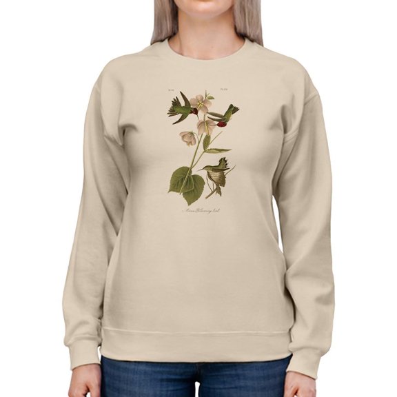 Small Anna Hummingbird Sweatshirt Women -John James Audubon Designs, Female 4X-Large