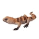 thumbnail image 4 of Figura de lagarto, regalo de cumpleaños, adorno para tarta, manualidades, juguetes de animales en miniatura para niños de 3 años o más. Tipo D, 4 of 9