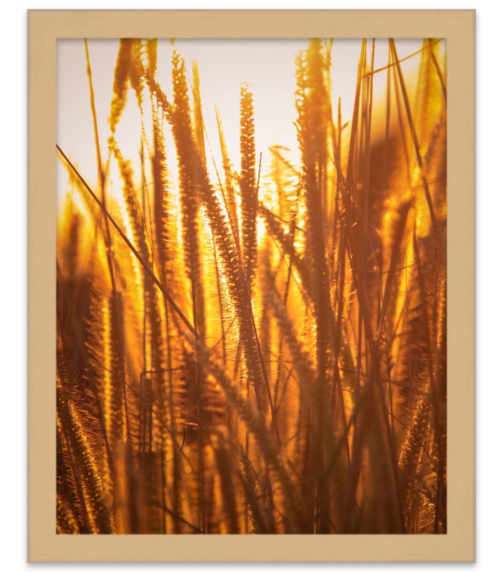 18x24 Flat Oak Wood Frame - "The Edge" Thin - Great for Posters, Photos, Art Prints, Mirror, Chalk