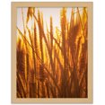 thumbnail image 4 of 18x24 Flat Oak Wood Frame - "The Edge" Thin - Great for Posters, Photos, Art Prints, Mirror, Chalk, 4 of 8