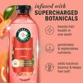 thumbnail image 2 of Herbal Essences Volume + Body Grapefruit Shampoo, 400ml, 2 of 12