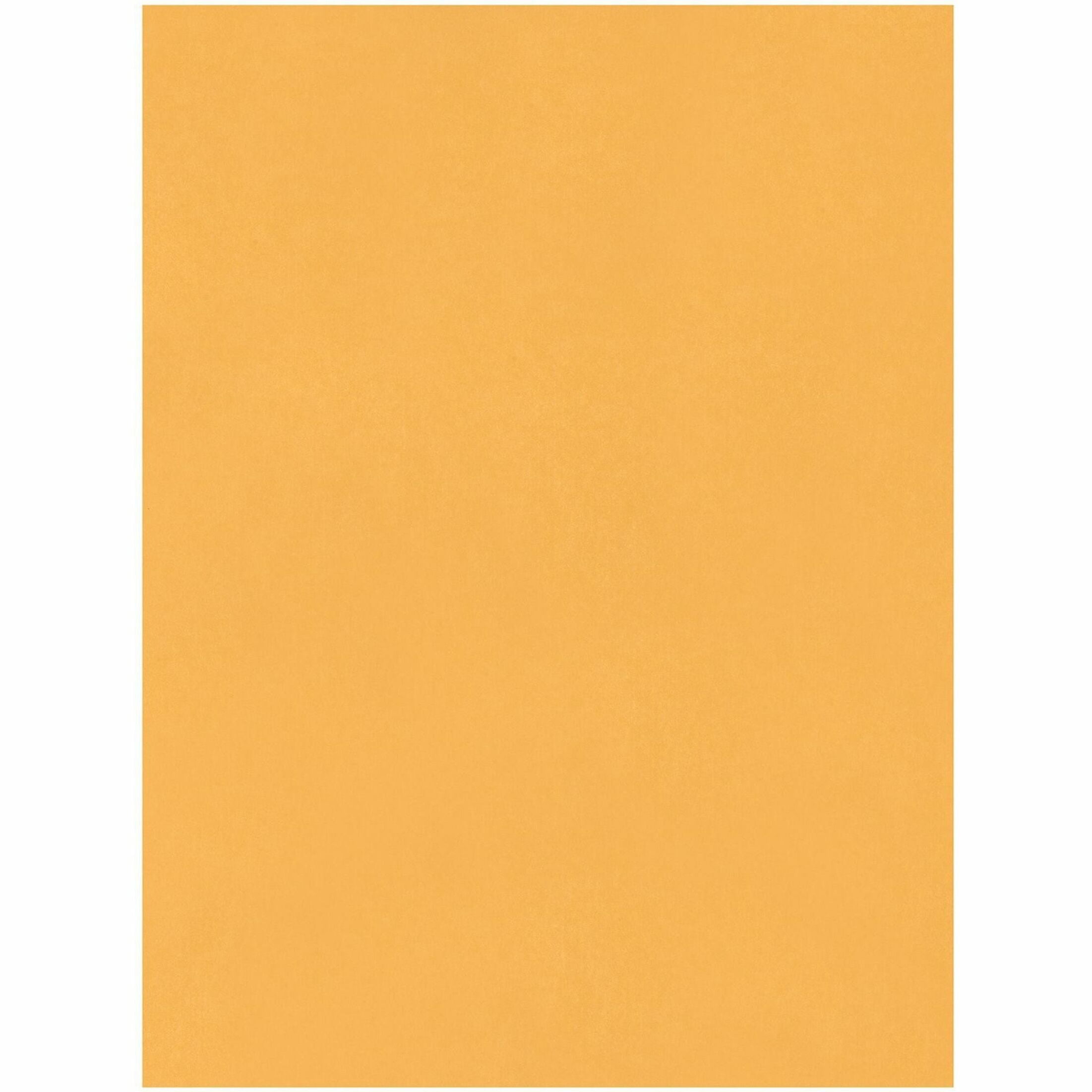 Quality Park Jumbo Kraft Envelopes - Catalog - 15"W x 20" L- 28 lb - Kraft