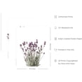 thumbnail image 2 of HAUS AND HUES Purple Floral Wall Art Set of 3 - Lavender Flower Picture for Bedroom, 3 Botanical Prints, Floral Art Prints, Plant Posters for Room Aesthetic (16x20, UNFRAMED), 2 of 6