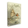 thumbnail image 4 of Stupell Industries Ducks with Pond Botanicals Animals & Insects Painting Gallery Wrapped Canvas Art Print Wall Art, 16 x 20, 4 of 8