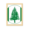 thumbnail image 1 of Cuadro de madera decorativa Norfolk Island National Emblem A4, 1 of 3