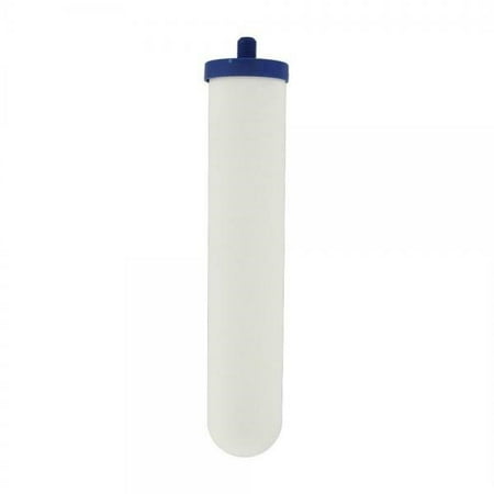 

CeraMetix Filter for Aquacera Countertop Fluoride Filters