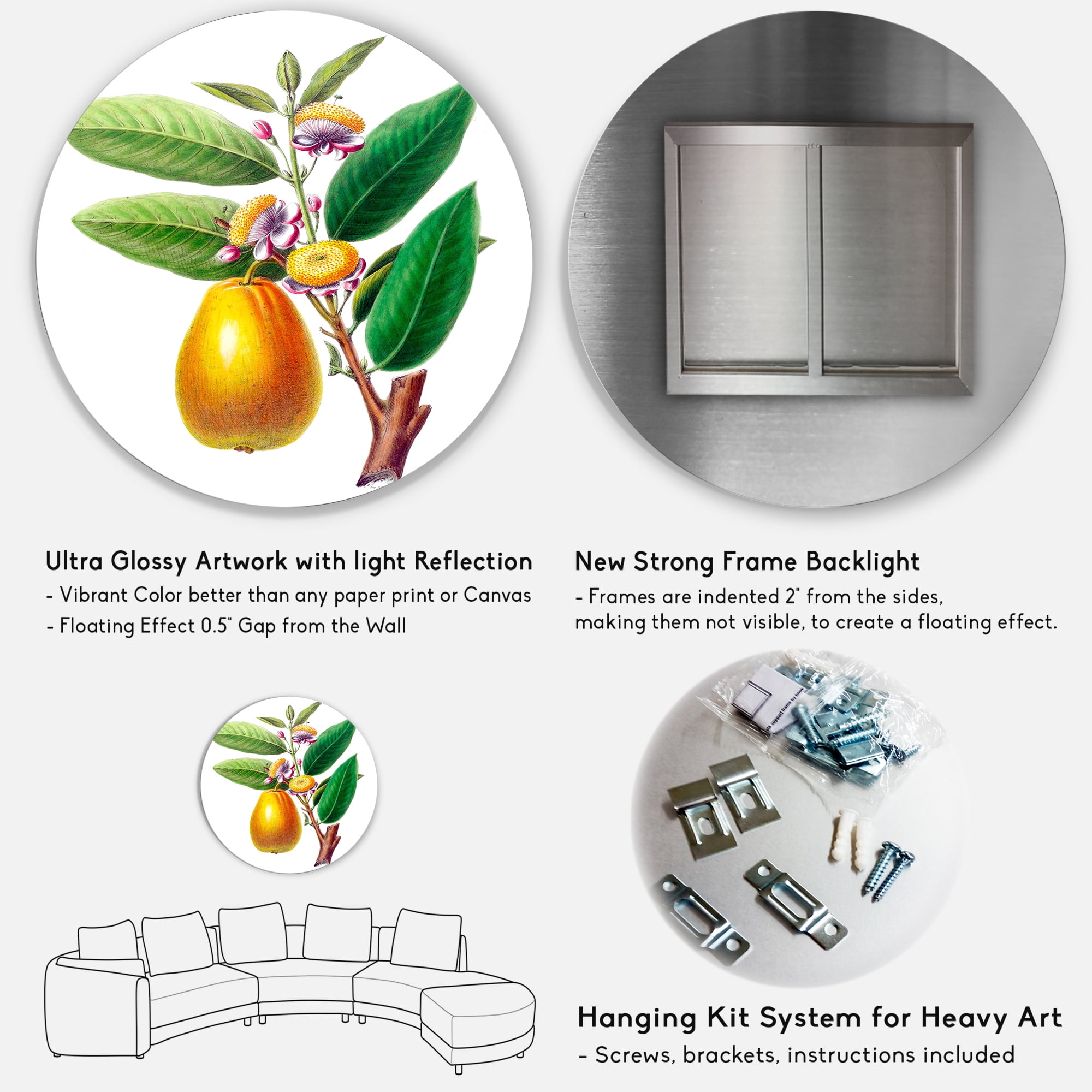 Designart 'Ancient Fruits I' Farmhouse Circle Metal Wall Art 23x23 - Disc of 23