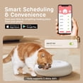 thumbnail image 3 of Dispensador automático de comida para gatos iPettie Donuts Frost WiFi 6, 3 of 7