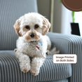 thumbnail image 2 of 3dRose, Cute Funny Basset Hound Dog with Heart Love Balloon Cartoon, set of 2 Key Chains, 2 of 7