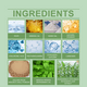 thumbnail image 5 of Hoegoa Rosemary Scalp Scrub Hair Limpieza suave Hidratante Refrescante Calmante Scalp Scrub,1 piezas, 5 of 10