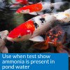 thumbnail image 3 of API Pond Ammo-Lock, Pond Water Ammonia Detoxifier, 16-Ounce, 3 of 7
