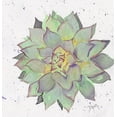 thumbnail image 2 of Dyer, Beverly 26x27 Black Ornate Wood Framed with Double Matting Museum Art Print Titled - Cactus 1, 2 of 4