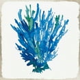 thumbnail image 3 of Wilson, Aimee 12x12 Black Modern Framed Museum Art Print Titled - Blue Coral III, 3 of 5