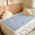 thumbnail image 6 of Fufafayo Reversible Mattress Protector Lightweight Non-Slide Polyester Mattress Protector 74.8x35.4 Inch, Twin Mattress Cover Washable, Home Dorm Bed Protector for Guest RoomKidsBed, 6 of 6