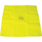 Official's Regulation Penalty Flag