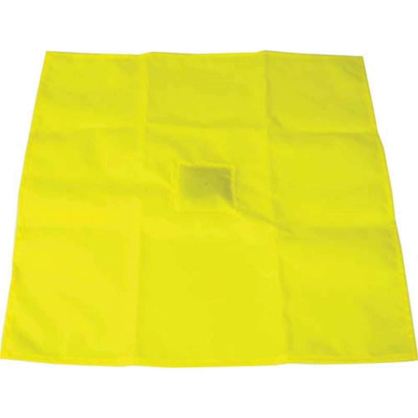 Official's Regulation Penalty Flag