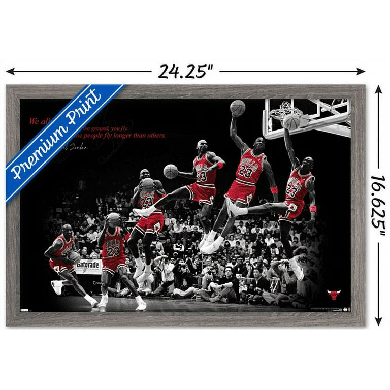 Michael Jordan - Fly Wall Poster, 14.725