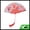 Red, variant on Unique Bargains Rose Print With Tassel Folding Fan 1 Pc For Summer Events Decorations Red