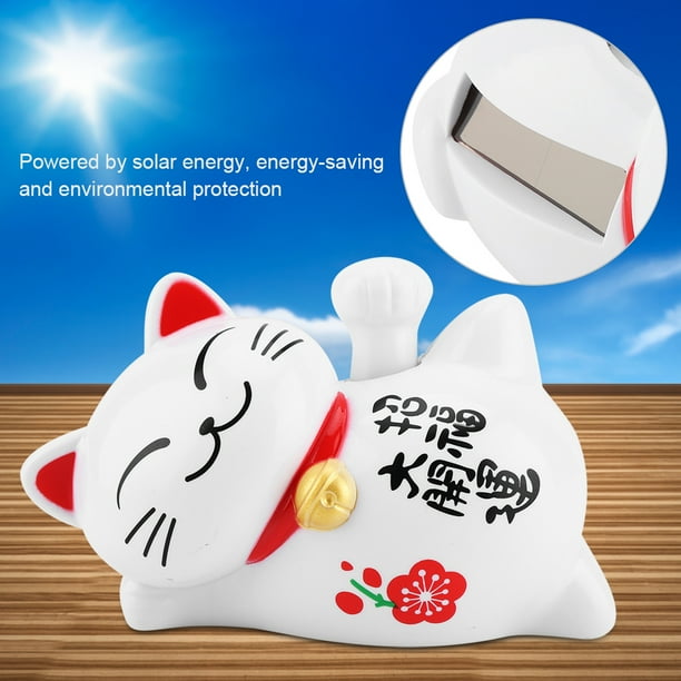 Lucky on sale cat car