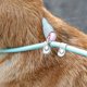 thumbnail image 5 of Dog leash for large dogs, durable, retractable, with color gradient, 150 cm/200 cm/250 cm rose, 5 of 5