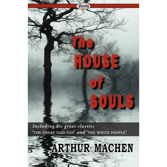 The House of Souls (Paperback)
