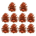 thumbnail image 6 of Twinkseal Diy Crafts Pine Cones 10pcs Natural Pine Cone Decorations for Diy Crafts Christmas Parties Weddings Christmas Pine Cones, 6 of 8
