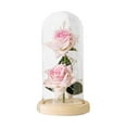 thumbnail image 2 of AMLESO Creative Flower Arrangement Crafts with Light Flowers Glass Cover Decoration for Pink, 2 of 8