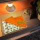 thumbnail image 3 of Cama para dormir de reptil jinwen Saco de Dormir Dragón con Almohada y Manta Gecko Beige y naranja, 3 of 6