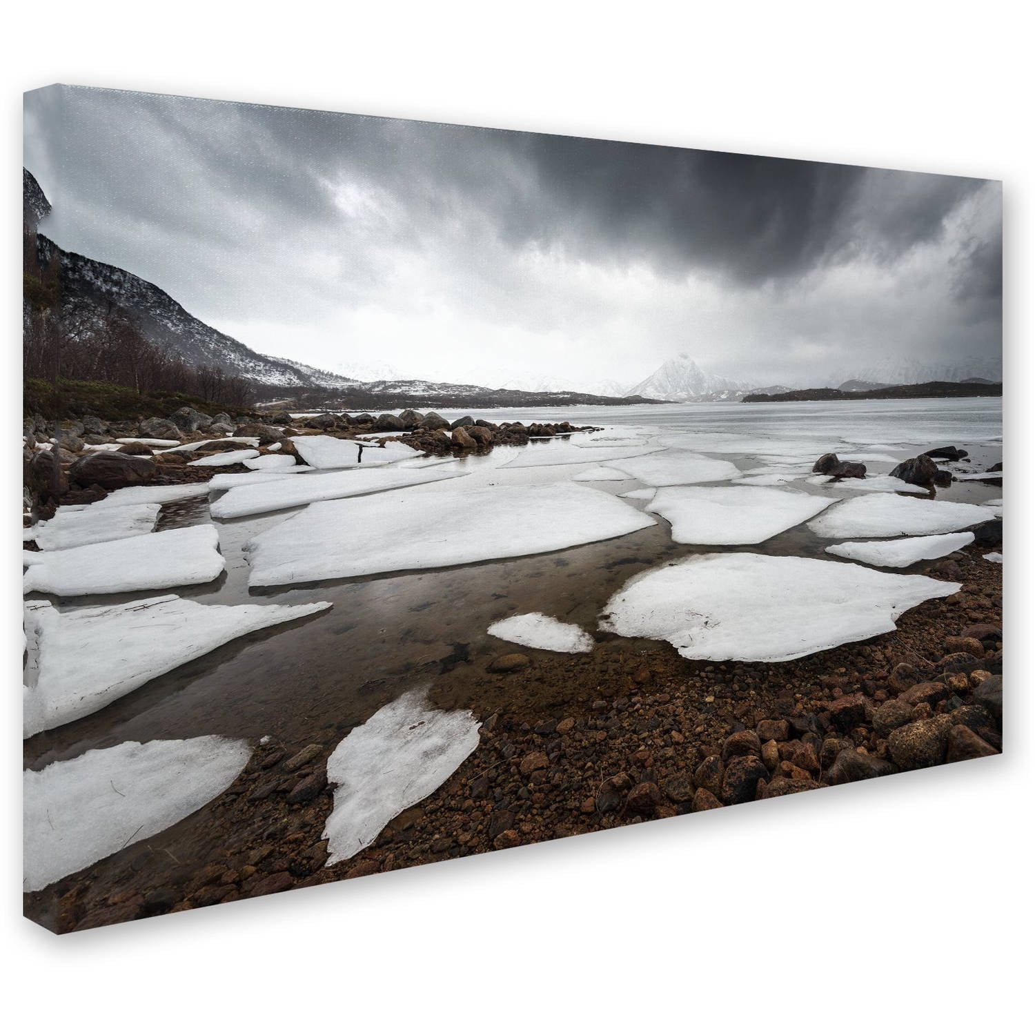 Trademark Fine Art "Wildest Dreams" Canvas Art by Philippe Sainte-Laudy
