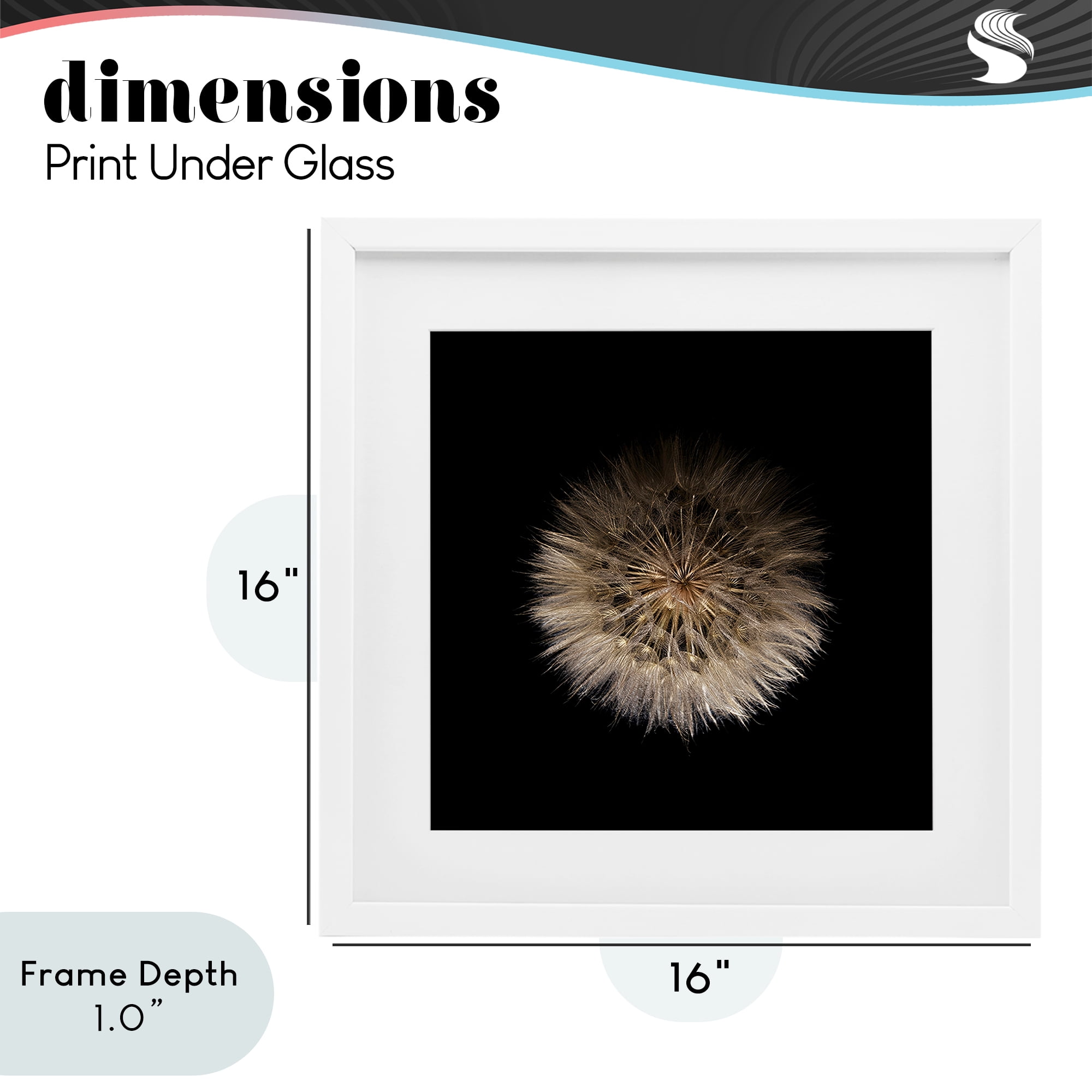 Stupell Industries Wispy Dandelion on Black White Framed Print Under Glass, design by Beth Adoette