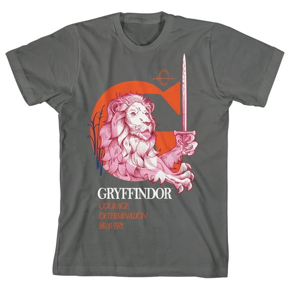 Harry Potter Gryffindor Lion Youth Charcoal Graphic Tee - M