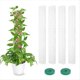 thumbnail image 3 of 4 Paquetes de Postes de de Plástico para Plantas Monstera, Soporte de Plantas Apilable para Plantas Trepadoras de Interior, Postes de Plantas Transparentes, 3 of 8