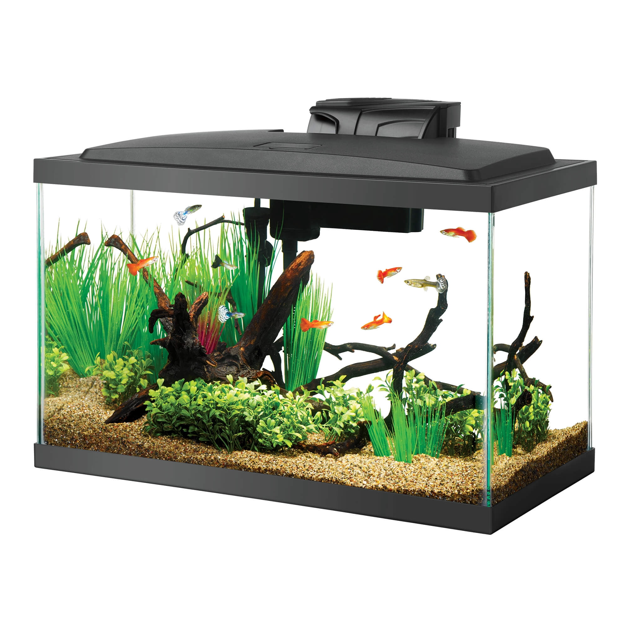 Aqueon Standard Open-Glass Glass Aquarium Tank 10 Gallon