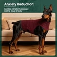 thumbnail image 5 of Kuoser Dog Anxiety Vest, Soft and Breathable Calming Shirt for Pet, Adjustable Dog Anxiety Relief Jacket for Thunderstorm, Fireworks, Travel, Separation, Red, S, 5 of 7