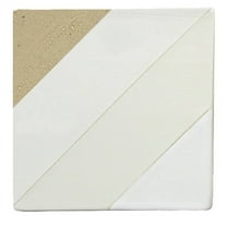 AMACO Low Fire Moist Multi-Purpose Earthenware Clay, 25 lb, White Art 25