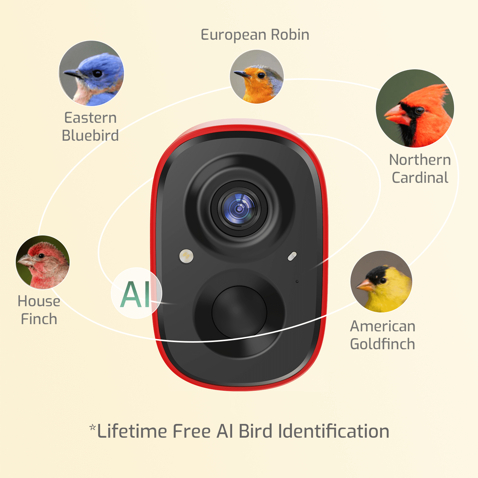 Coolfly x Richbird All-Metal Smart Bird Feeder with 2.5K HD Solar Camera, Squirrel-Resistant Large Capacity Bird House with Free AI Bird Identification & Phone Notifications - Red