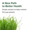 thumbnail image 4 of Vibrant Health, Green Vibrance Packets, Travel-Friendly Vegan Superfood Powder, 15 Packets, 4 of 9
