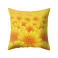 thumbnail image 1 of EIMELI Tulip Sunflower Rose Pattern Throw Pillow Case Cushion Cover Sofa Bed Car Decor, 1 of 12