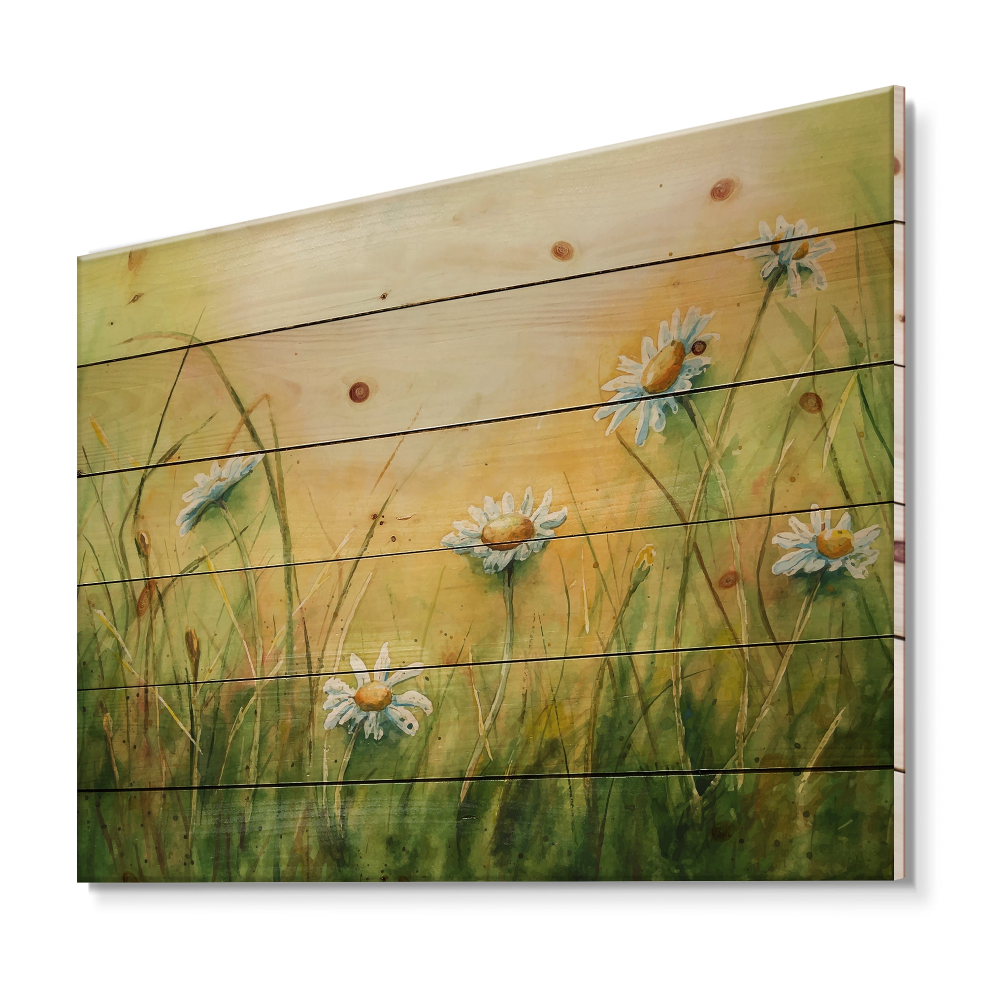 Designart 'Sunset Field With Herbs and Chamomiles' Traditional Print on Natural Pine Wood