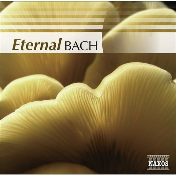 Various Artists - Eternal Bach / Various - Music & Performance - CD