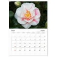 thumbnail image 5 of Floral Delight (Monthly Wall Calendar 2026 16.5 x 23.4 (open)), CALVENDO 14 Month Calendar, 5 of 9